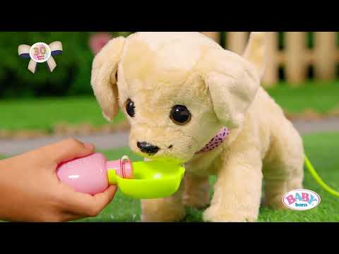 Интерактивный питомец Baby born - Моя счастливая собачка (835197)