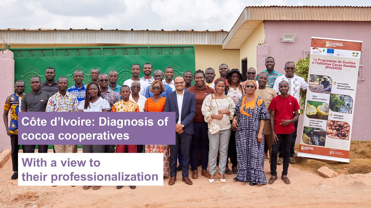 Côte d’Ivoire: Diagnosis of cocoa cooperatives with a view to their professionalization