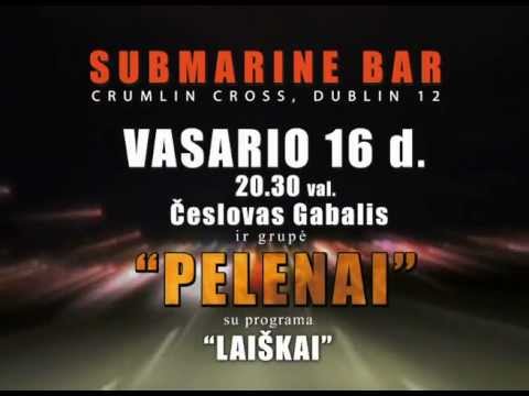 Česlovas Gabalis ir grupė "Pelenai" su programa "Laiškai"