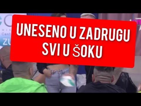UNESENO OVO U ZADRUGU, SVI U ŠOKU