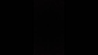 Leroy The Redneck Reindeer (BY: Joe Duffie)