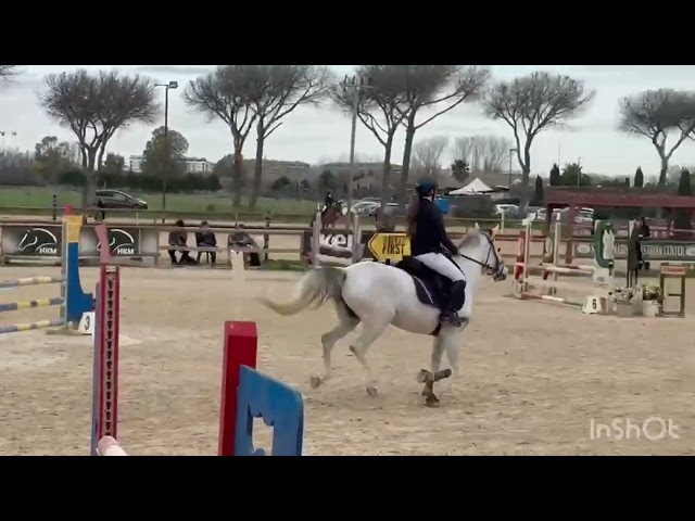 VENDITA Pony femmina anno 2020. Altezza 147