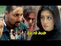 Balu Movie Neha Oberoi Ragging Scenes Pawan Kalyan Telugu Movie Scenes Prime Movies