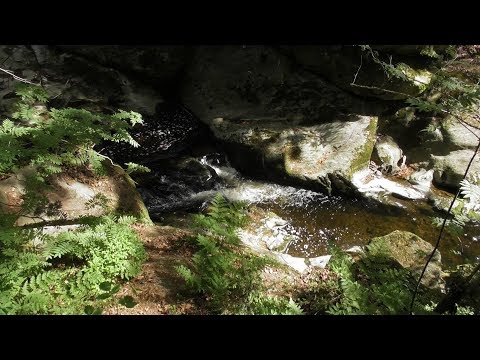 Die Steinklamm | Spiegelau