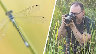 Macro Photography: Do You Have Get the Whole Insect in Sharp Focus?