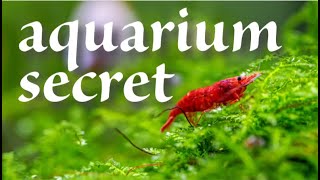 അക്വാറിയം വിജയിക്കാനുള്ള രഹസ്യം A secret for successful aquarium hobby