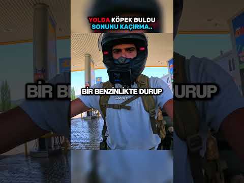 Motorcu, Yavru Köpeği Kurtardı Ama.. 🥺❤️‍🩹 #shorts