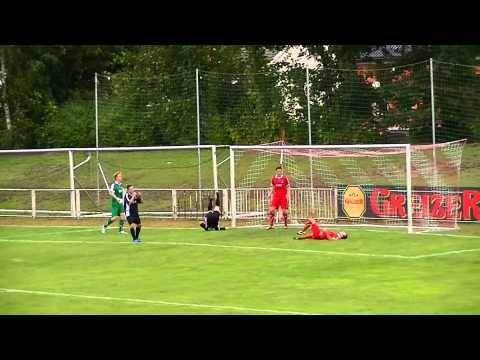 FSV Zwickau II - NFV 09 Görlitz
