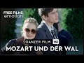Mozart Und Der Wal Mit Josh Hartnett Ganzer Film Auf Deutsch Kostenlos Schauen In HD