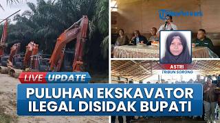 Ironi Sawit di Sorong Selatan, Puluhan Ekskavator Masuk Tanpa Izin hingga Warga Diimbau Waspada