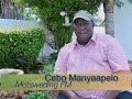 Cebo Manyapelo