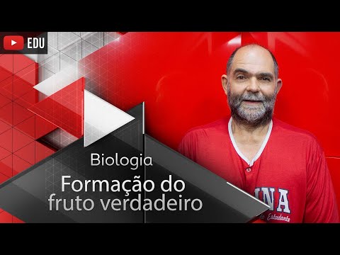 Formação do fruto verdadeiro