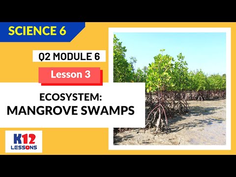Science 6 Quarter 2 Module 6 Lesson 3 - Ecosystem: Mangrove Swamps
