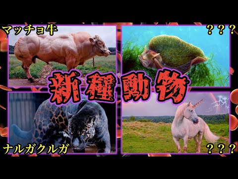 2016 年の新種トップ 10