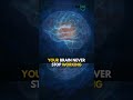 Your Brain Age Is Just 18 Years Shorts Students Adult Brain Neet Study Biology