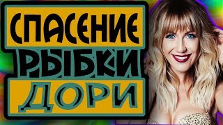 Лучшие приколы 2018. Русские приколы. Prikol video #22