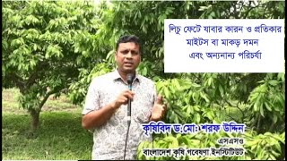 লিচু ফেটে যাবার কারন ও প্রতিকার এবং লিচুর মাইট দমন