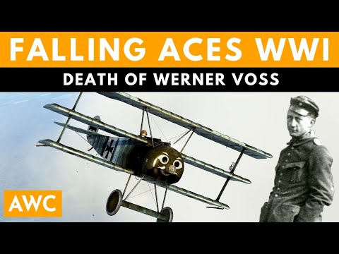 Death of Werner Voss - The epic last stand against 56 Squadron RFC | 48 victories