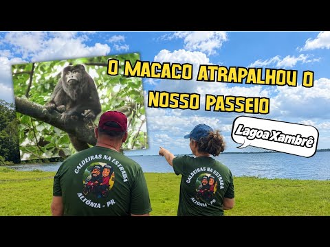A MAIOR LAGOA DO PARANÁ ESCONDE MUITO MAIS  DO QUE IMAGINÁVAMOS! 😱/Lagoa Xambrê 
