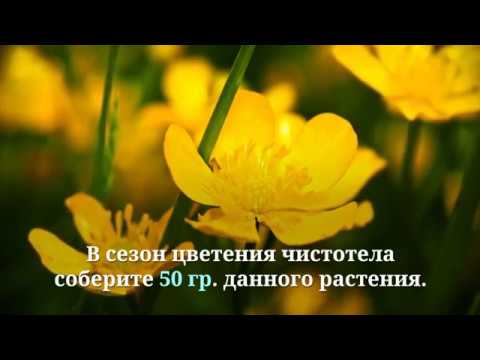 ▶️Травы для суставов: растения от болей и воспаления, рецепты