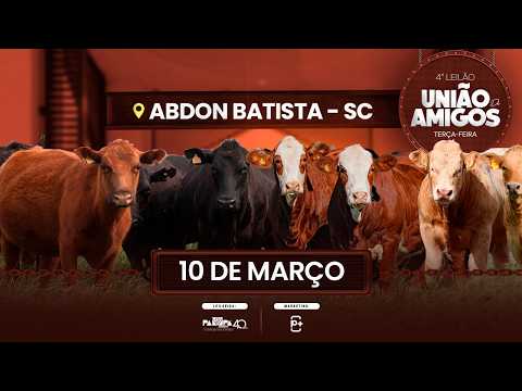 4° Leilão União de Amigos, ABDON BATISTA/SC - 10/03/2026 19:00h