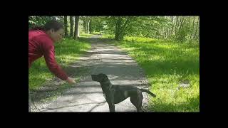 Mit unseren Hunden und Katzten um den Teich ein wenig auslauf.