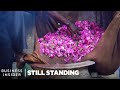 How India's Perfumers Recreate The Smell Of Rain On Earth | Still Standing