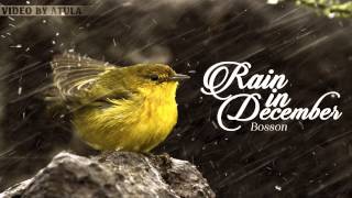[Lyrics + Kara] Rain in December - Bosson