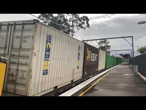 NR75(GH)-8209-NR25(IP) #7SB1 Cockle creek 18-11-2017