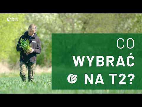 Film na temat: { video.title }}