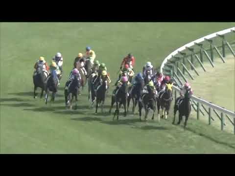 2020.11.01 2yo Newcomer (JPN) - Tiny Romance