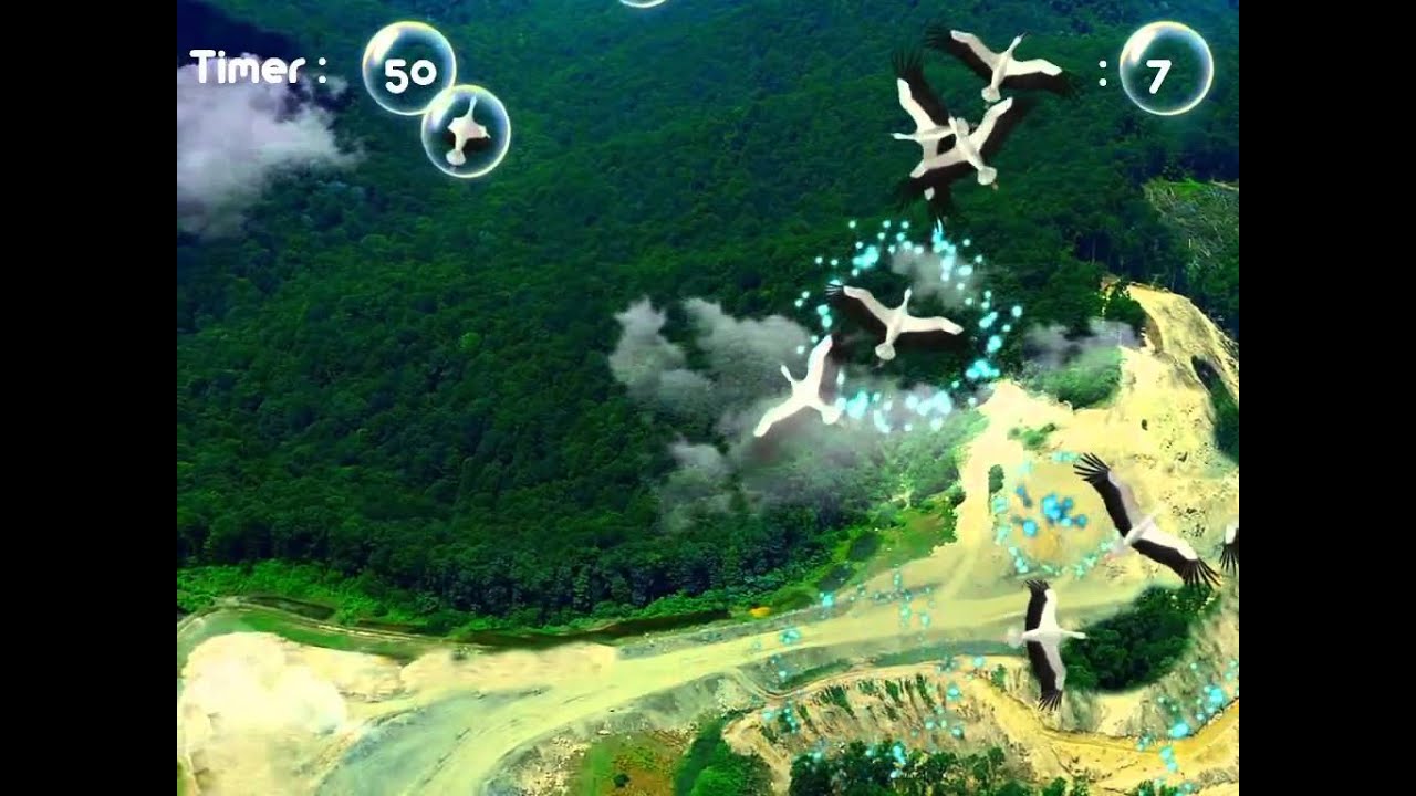 Free The Birds - Interactive Floor Game