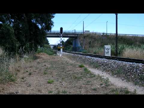 Comboio n.º 98252 - Atalaia