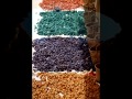 Morocco's Dream