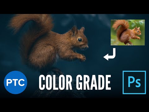 How To Resize an Image WITHOUT Stretching It in Photoshop