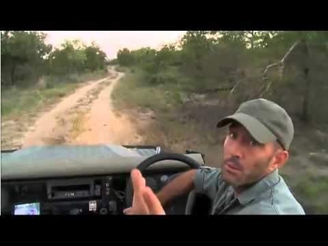 Apr 23 WildEarth Sunrise SafariLIVE ft. Birmingham Boys