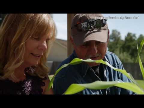 Witness21  2016 05 27