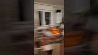 Download lagu 1000 flutes 2.0 mp3 Download lagu 1000 flutes 2.0 mp3