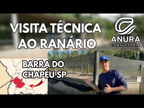 Visita Técnica a um Ranário em Barra do Chapéu/SP – Vlog Completo #agro  #ranicultura #vidanocampo