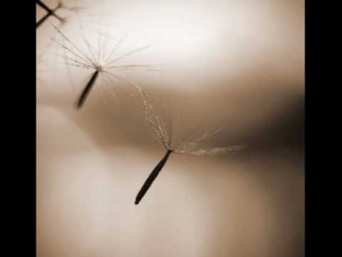 Wasis Diop - After dreaming