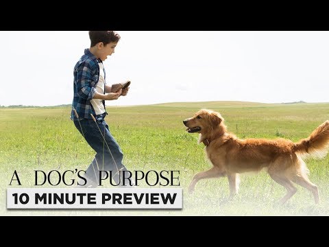 A Dog’s Purpose | 10 minute Preview | Film Clip | Own it now on Blu-ray, DVD & Digital