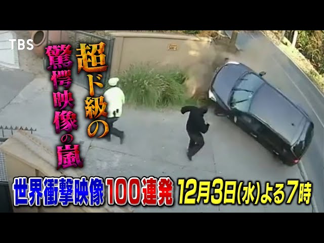 世界衝撃映像１００連発🈑