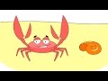 Zeichentrick-Malbuch - Krabbe, Frosch, Delfin 