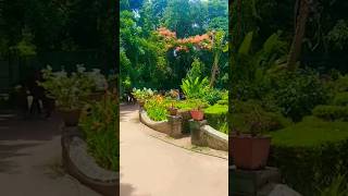 Download lagu thrissur zoo #shortsvideo #thrissur #zoo #museum mp3 Download lagu thrissur zoo #shortsvideo #thrissur #zoo #museum mp3