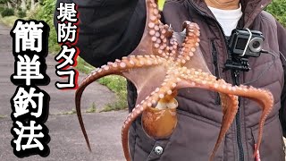 【初心者必見】今のタコを簡単に釣る方法 教えます。【徹底解説】