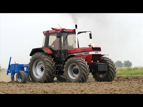 Ripping soil | CASE IH 1455 XL vs Puma 160 | Pure Sound | Post Harvest Cultivation