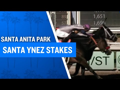 2025 $100,000 Santa Ynez Stakes at Santa Anita