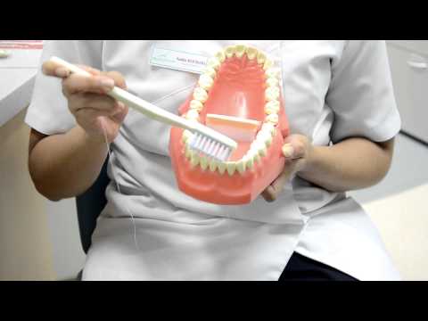 UDSS PSVP Toothbrushing Video