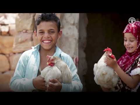 Celebrate Sustainable Gastronomy Day with FAO