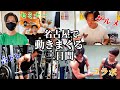 【背中トレ】35歳サラリーマッチョの休日~名古屋遠征でコラボ!